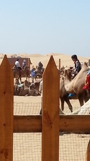 20160729_152611.jpg